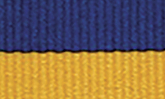 Blue / Gold Ribbon