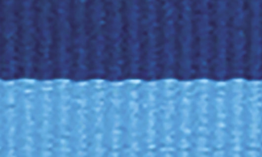 Blue / Light Blue Ribbon