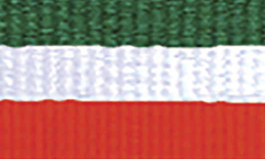 Green / White / Orange Ribbon