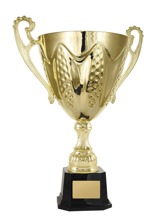 Bordeaux Cup