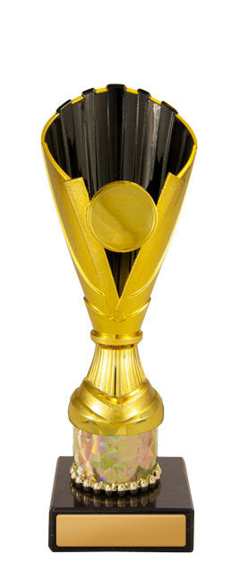 Norwood Cup