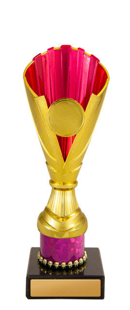 Norwood Cup