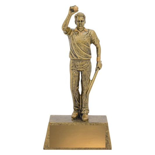 Cricket Hero Bowler
