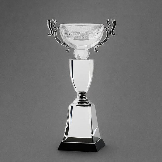 Crystal Cup