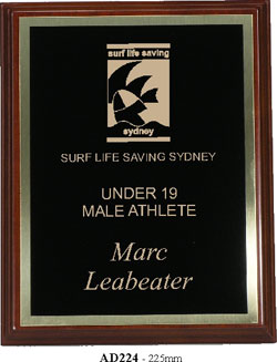 Brass plated Plaques