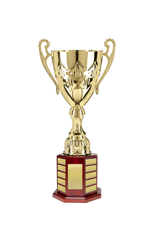Cup on Perpetual Base