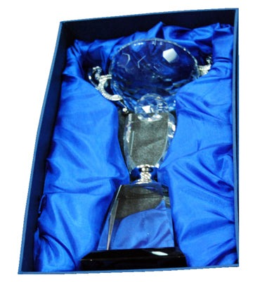 Crystal Cup