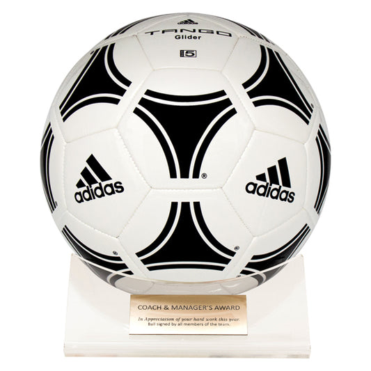 Acrylic Ball Holder