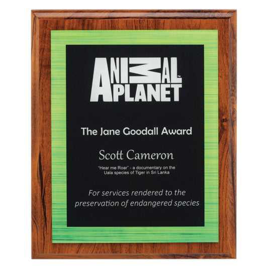 Vivid Green Plaque