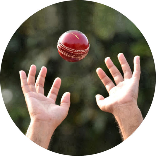 Cricket - Fielder