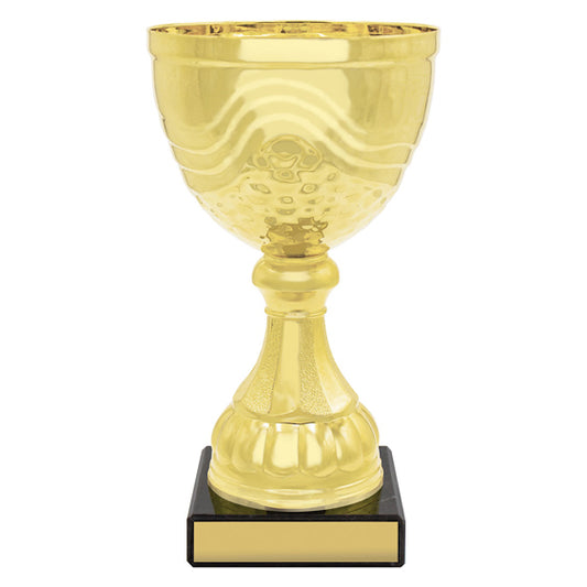 Community Cup