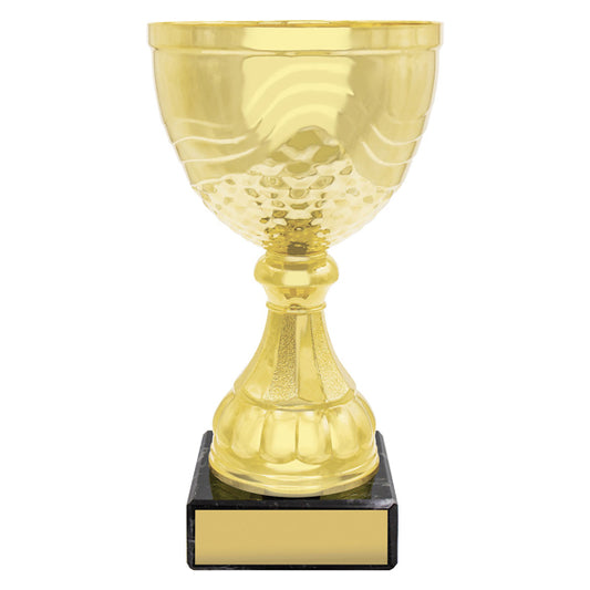 Community Cup