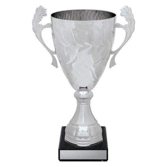 Silver Eternal Cups