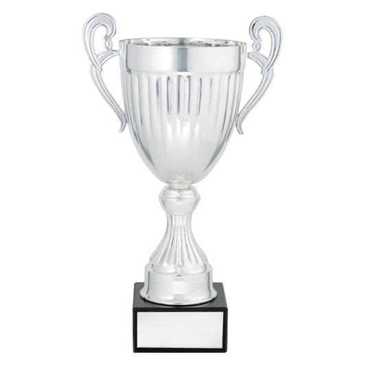 Endeavour - Silver