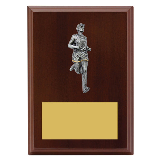 Peak Plaque - Male