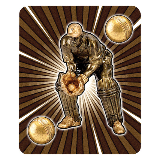 Wicketkeeper