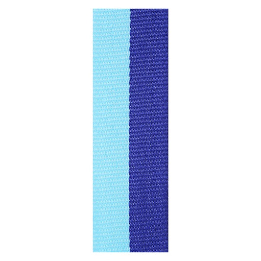 Dark Blue / Light Blue Ribbon