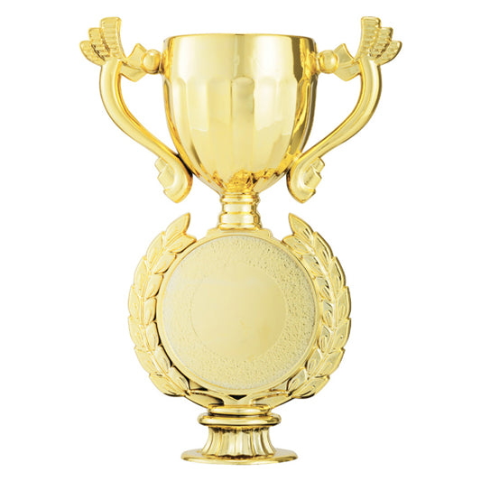 Academy Cup