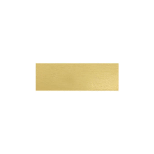 Trophy Plate - 46x15mm