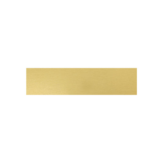 Trophy Plate - 58x14mm