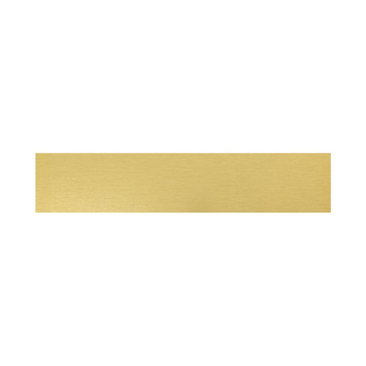 Trophy Plate - 69x14mm