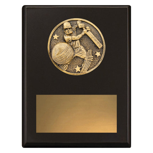 Challenge Plaque - Batting