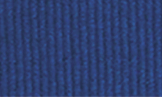 Blue Ribbon