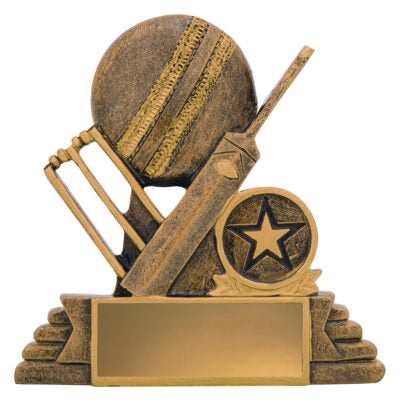 Cricket Budget Icon - Cricket Bat and Stumps