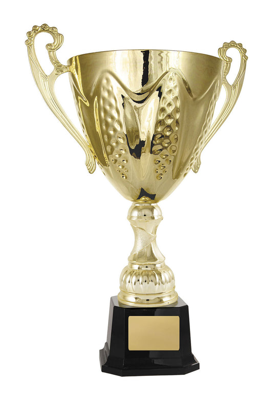 Bordeaux Cup