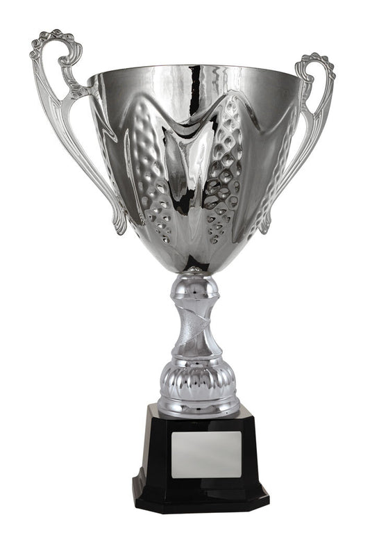 Bordeaux Cup