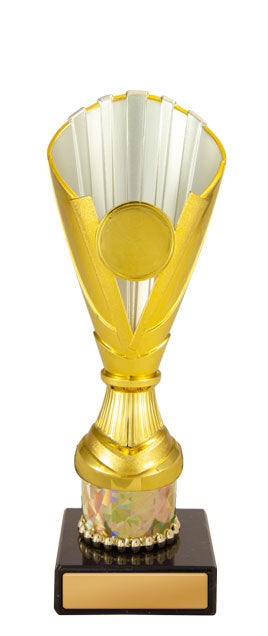 Norwood Cup