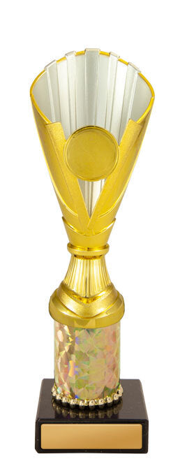Norwood Cup