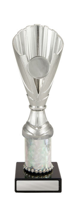 Colour: Silver