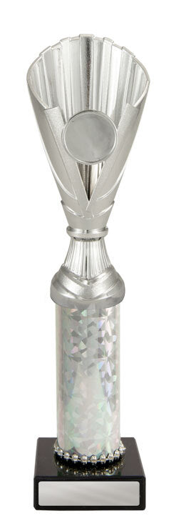Colour: Silver