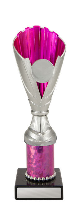 Norwood Cup