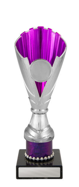 Norwood Cup