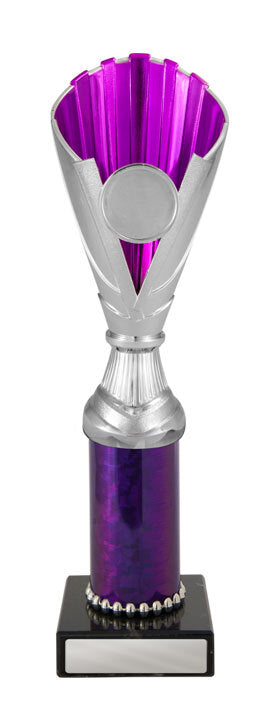 Norwood Cup