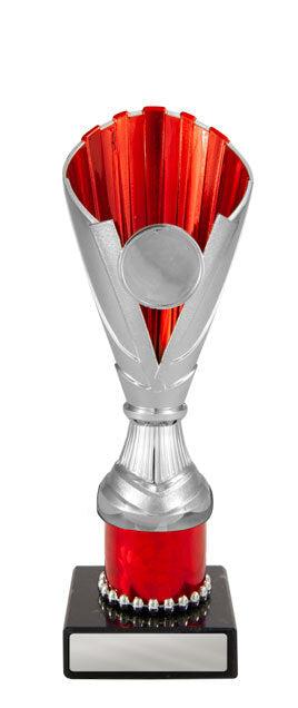 Norwood Cup
