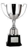 Victory Cup