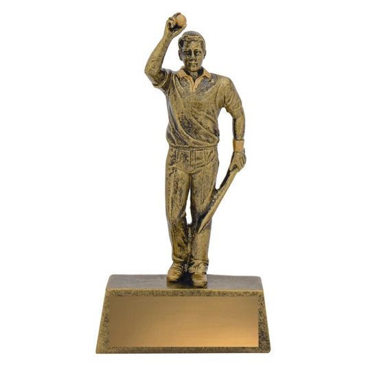 Cricket Hero Bowler