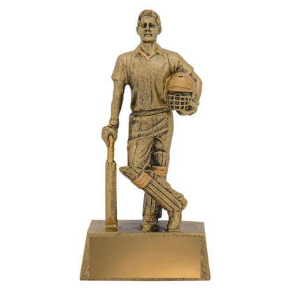 Cricket Hero Batsman