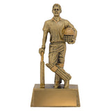 Cricket Hero Batsman