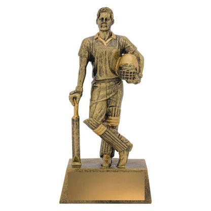 Cricket Hero Batsman