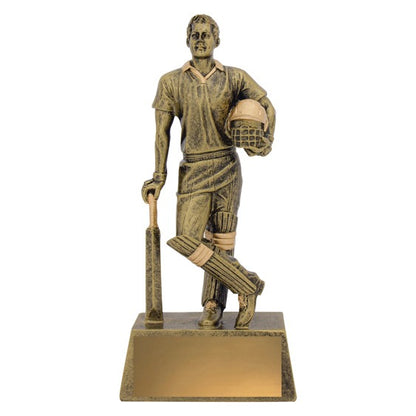 Cricket Hero Batsman