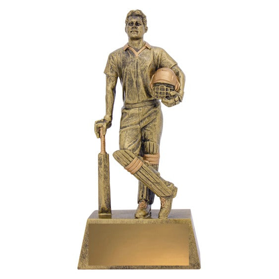 Cricket Hero Batsman