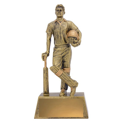 Cricket Hero Batsman