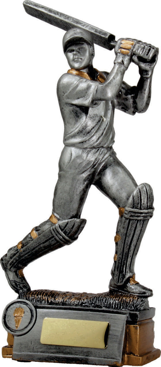 Cricket Batsman