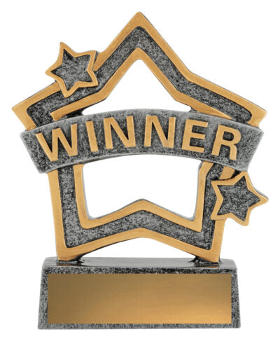 Rally Mini Star – Winner