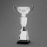 Crystal Cup