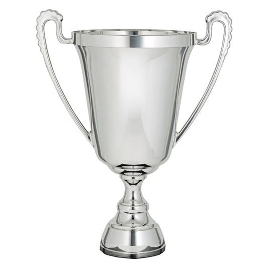 Silver Cup - The Moment